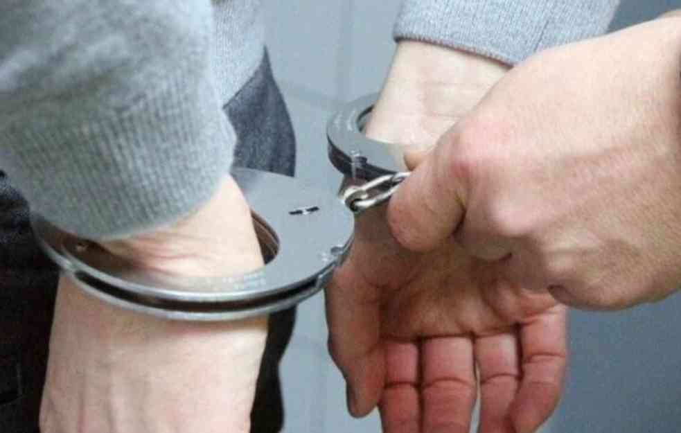 DETALJI HAPŠENJA PEDOFILA U SRBIJI: Među njima povratnici, zaplenjeni računari