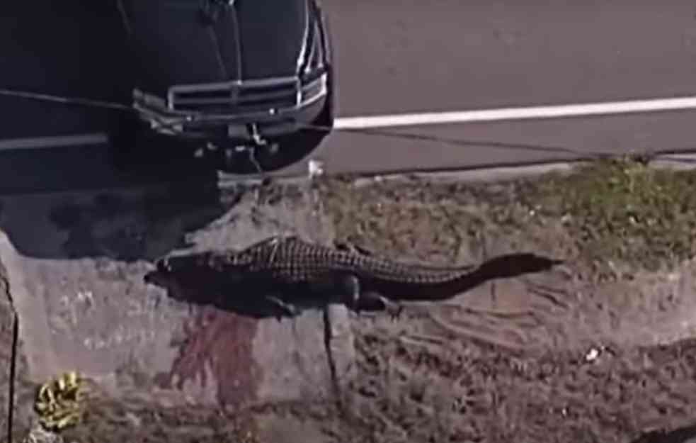 Ovo je žena čije je telo vukao aligator po ulici:Oglasila se i njena ćerka