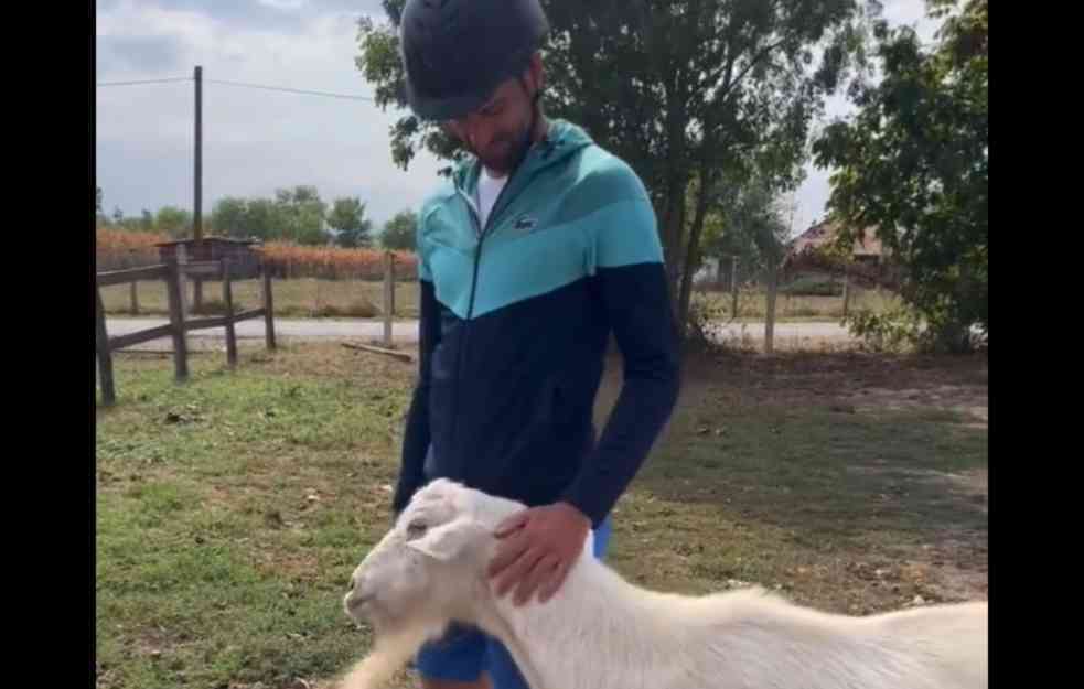 NOLE SE NA KOSMAJU DRUŽIO SA KOZOM, hit snimak i urnebesni komentari (VIDEO)