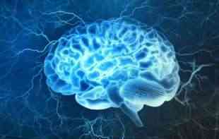 Naučnici pronašli ključne delove mozga u kojima bi mogao biti izvor psihoze