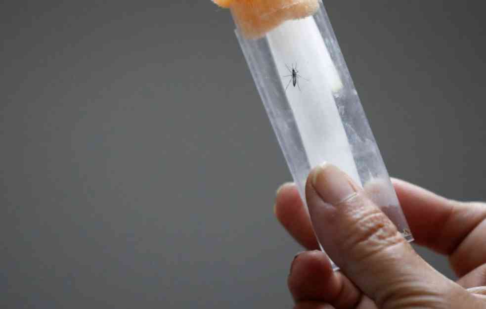 Prvi lek protiv SMRTONOSNE denga groznice ispunjava očekivanja