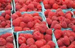 IZVOZ RASTE: Postignut dogovor o <span style='color:red;'><b>plasman</b></span>u maline u Mađarsku