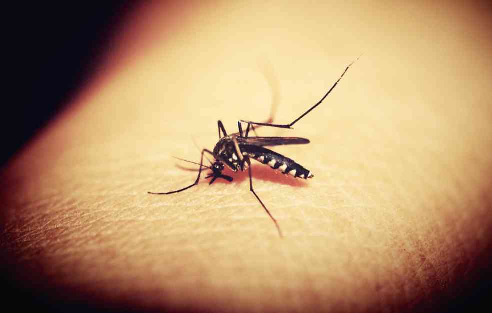 SZO UPOZORAVA na širenje endemsku bolesti denge u Evropi