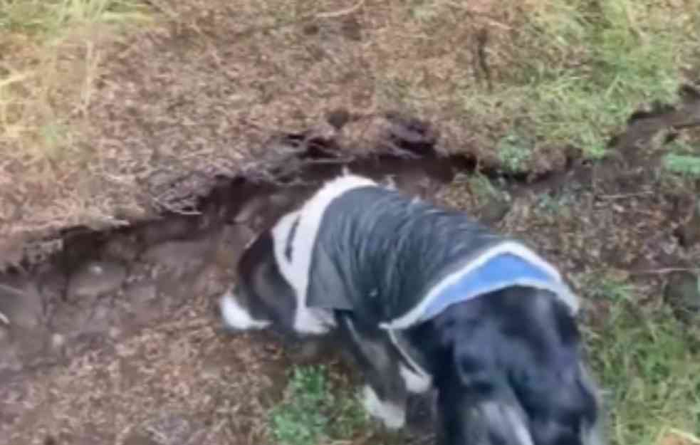 ŠETAO JE PSA I ZEMLJA SE ODJEDNOM PODIGLA: Kada je video prizor, pas se izbezumio (VIDEO)