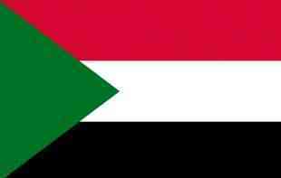 Najmanje 18 osoba poginulo u padu aviona u <span style='color:red;'><b>Sudan</b></span>u