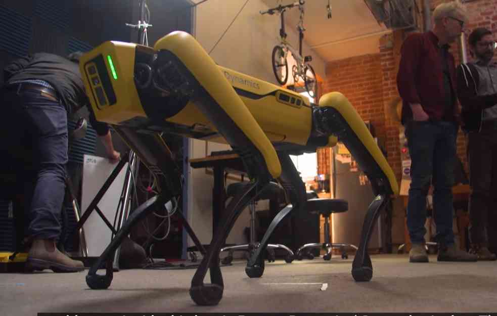 Robot-pas koji ume da govori kao čovek: Prvo ga se plašili zbog izgleda (VIDEO)