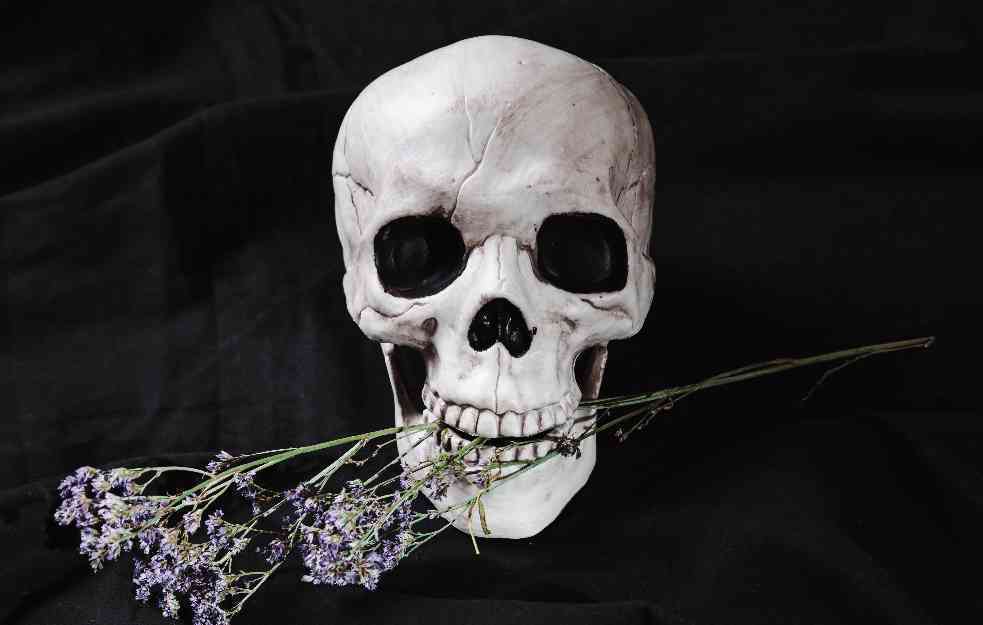 Berlin otkrio neobičan trend – grobljanski kafići postali popularna mesta okupljanja