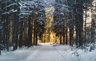 Pao prvi sneg i na Zlataru: Zabeleli se automobili (FOTO)