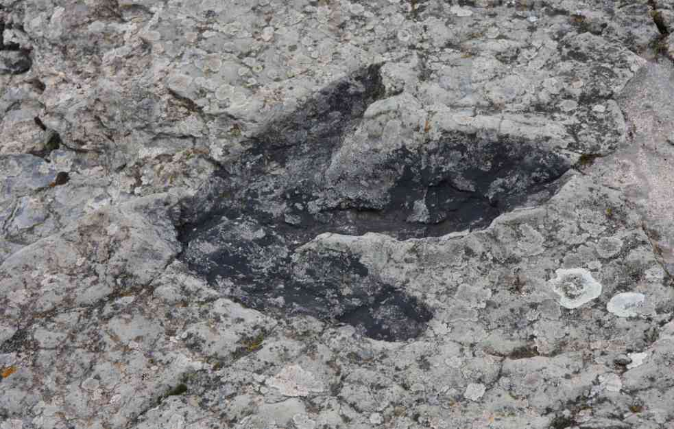 Otkrivena nova vrsta dinosaurusa: Bili su brzi, trčali su po drevnim peščanim dinama