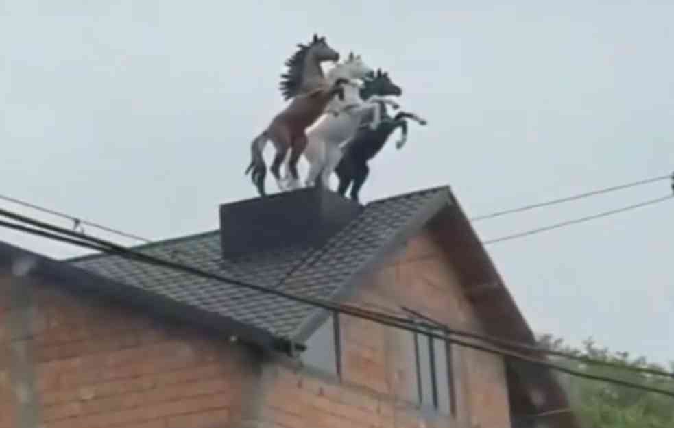 LAVOVI, PATULJCI I  LABUDOVI  SU PREVAZIĐENI:  Zbog detalja na krovu kuće u Srbiji, gore društvene mreže (VIDEO)