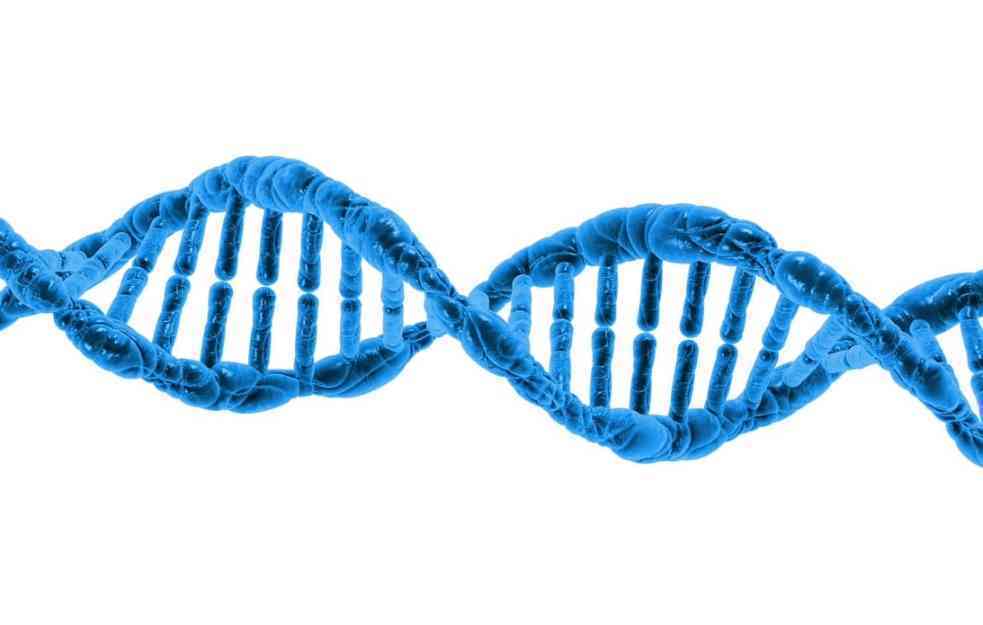 Zagonetna DNK sličnosti: Fascinantni podaci o DNK Srba, Hrvata i Grka ostavljaju naučnike u čudu