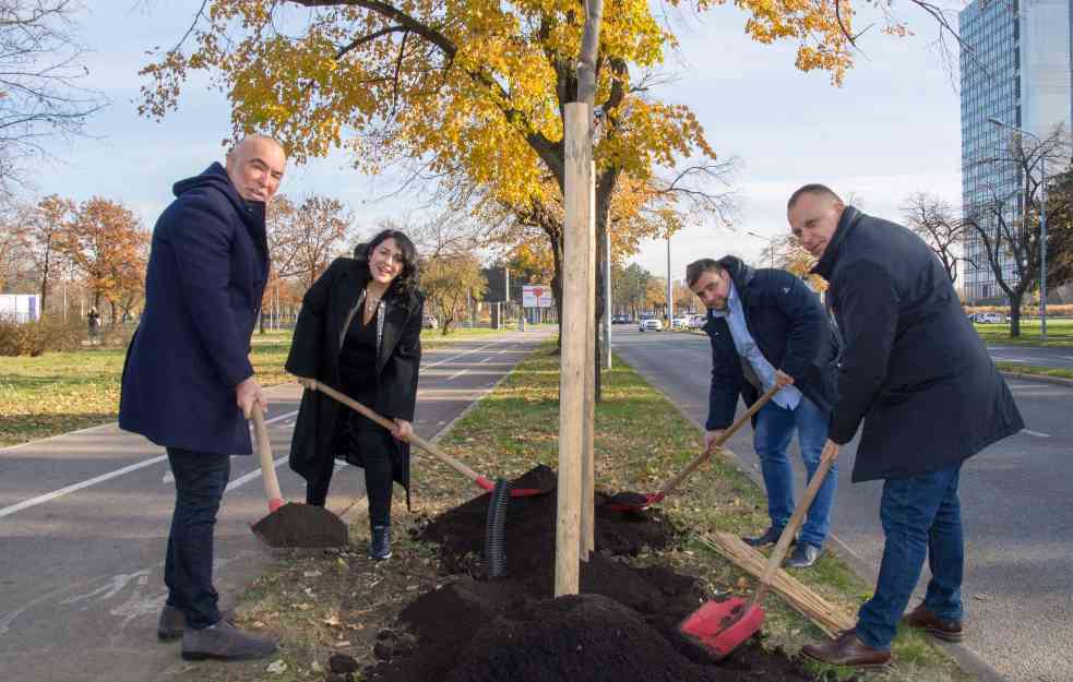 Novi Beograd nastavlja sa sađenjem: Stigle nove sadnice