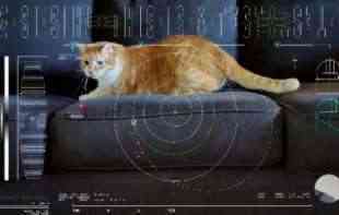 Narandžasti mačak Tejters postao svemirska filmska zvezda: “Igrao” u videu koji je NASA strimovala iz svemira (VIDEO)