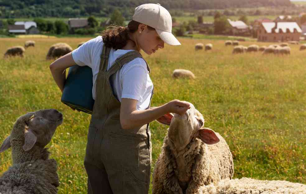 Niko neće da čuva ovce za 2.000 evra: Izumira poso pastira i kao i sela