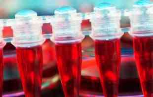 <span style='color:red;'><b>SARADNJA</b></span> U OBLASTI MEDICINE: Srbija pomaže u formiranju banke matičnih ćelija u RS