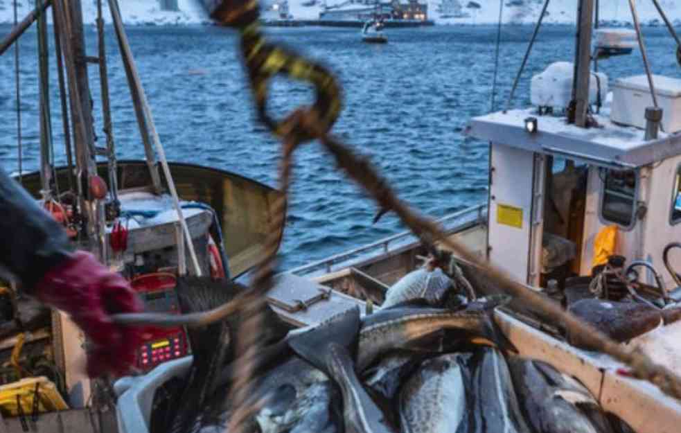 RUSKO NJET BRITANCIMA: Ostrvskoj naciji zabranjen ribolov u Barencovom moru