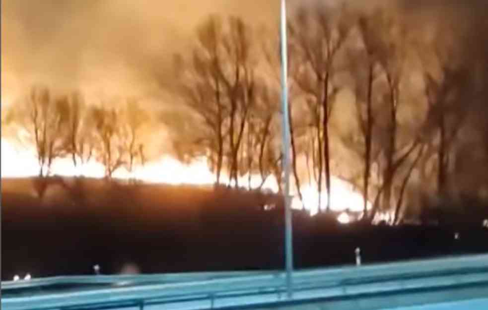 POŽAR ZAHVATIO ČITAVO BRDO, ŠIRI SE KA AUTOPUTU:  Zastrašujuće scene kod Malog Požarevca (VIDEO)