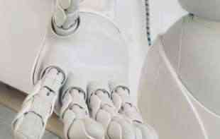 Psa u Kini prošetao robot (VIDEO)