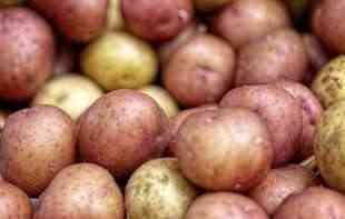 Ove sezone zarada od krompira i 10.000 EUR po hektaru