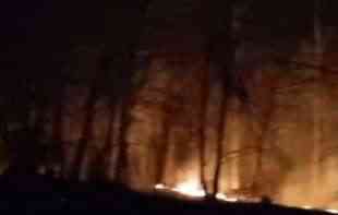 Požar zahvatio šumu i nisko rastinje kod Lučana i Deliblatske peščare, vatrogasci na <span style='color:red;'><b>teren</b></span>u (VIDEO)