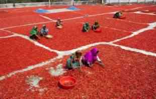 Sušenje ljute paprike u Bangladešu: Ko nema svoje zemljište slobodno koristi obalu <span style='color:red;'><b>reke</b></span>