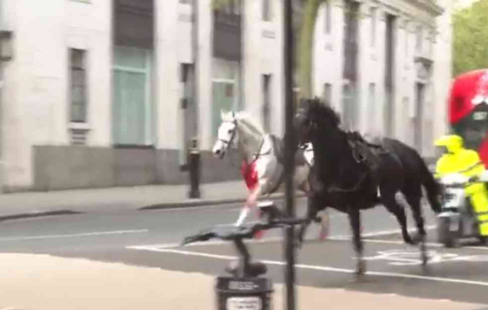Konji trče po sred Londona: Jedan umrljan krvlju (VIDEO)