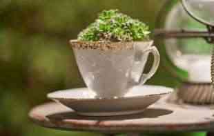 Uradi sam ideja: Ljupka bašta od starih šoljica za čaj