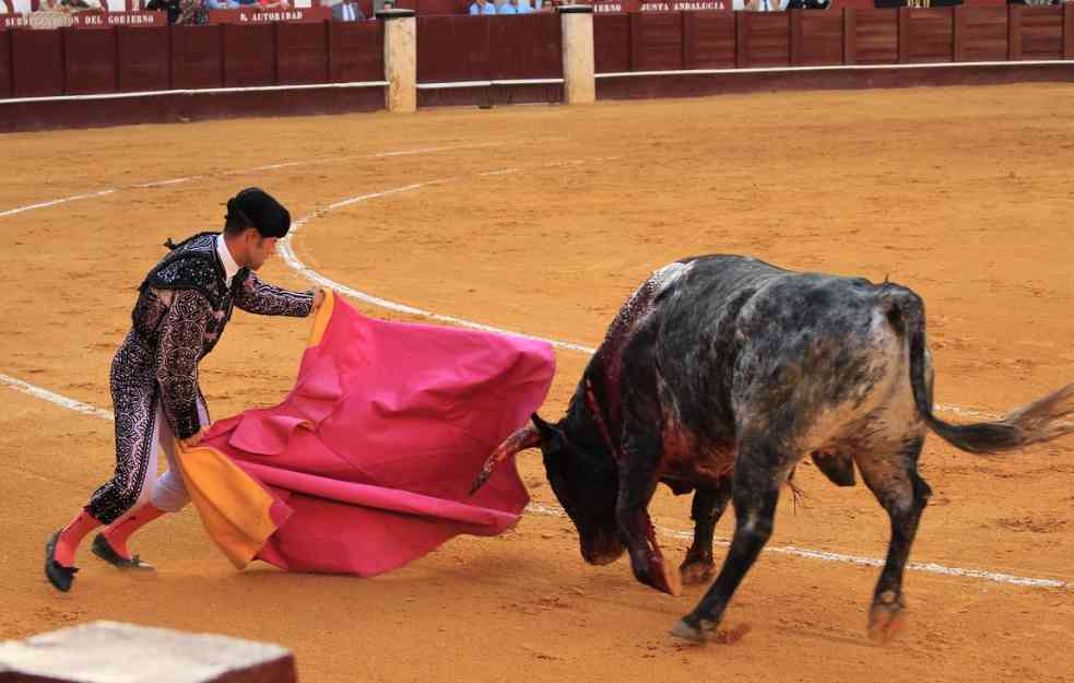 Još jedna zemlja zabranjuje BORBE BIKOVA: U svetu ih je ostalo još osam sa tom tradicijom