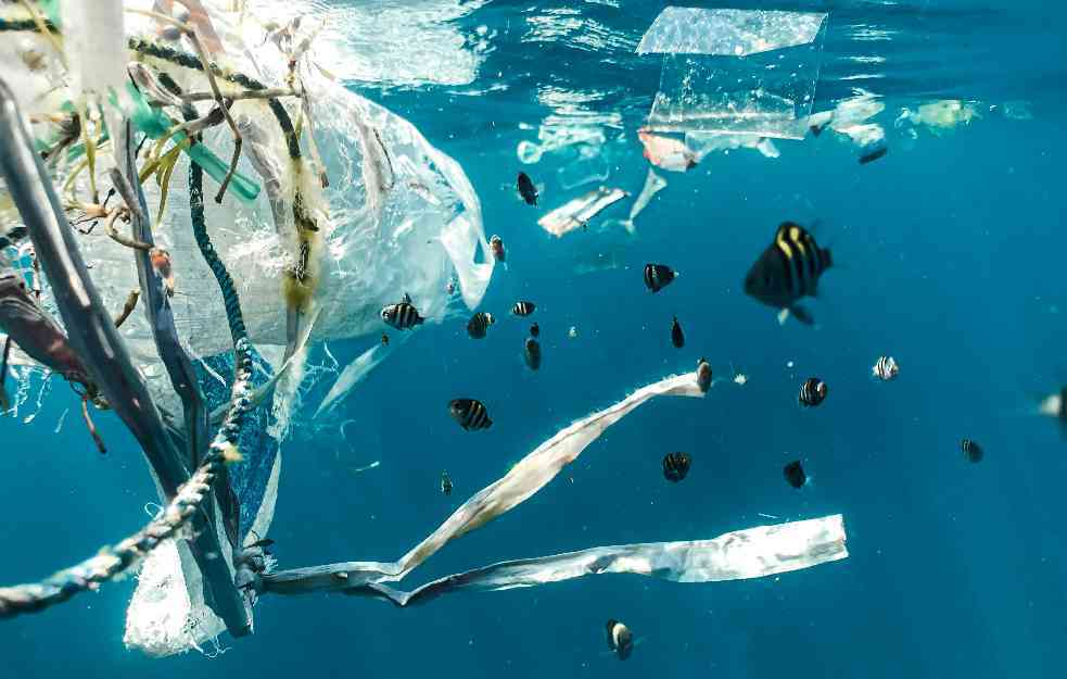 Naplata upotrebe plastičnih kesa funkcioniše 