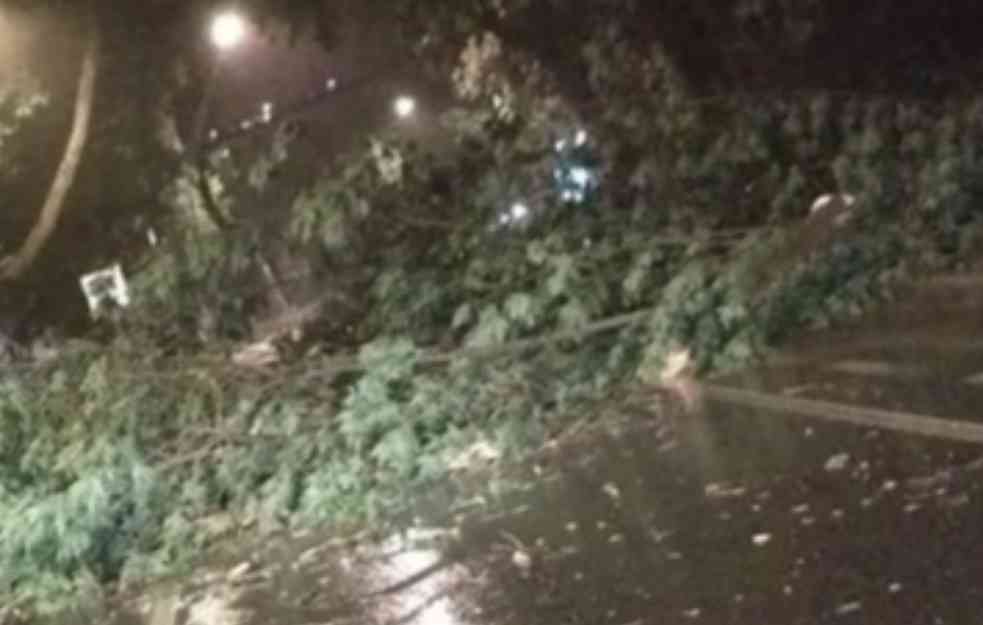 NEVREME NAPRAVILO HAOS U BEOGRADU: Vetar čupao drveće, bujice na ulicama (VIDEO, FOTO)