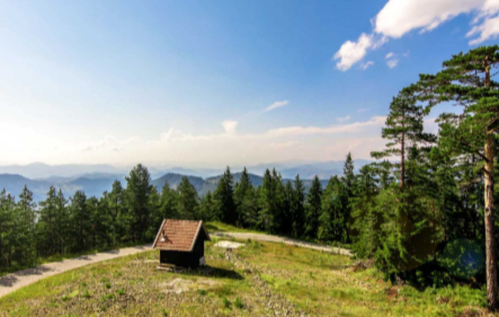 Letnja sezona na Torniku otvorena: Evo kako se kreću cene