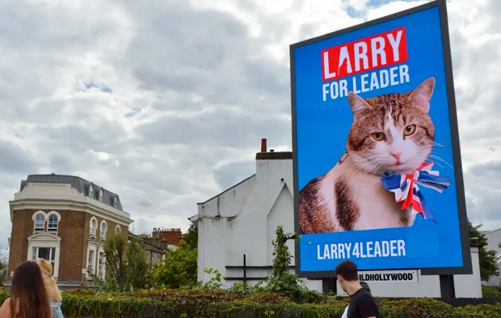 Jedina konstanta britanske politike je mačar Lari (FOTO)