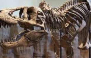 Dinosaurus star skoro 200 miliona godina se prodaje za nenormalnu cifru