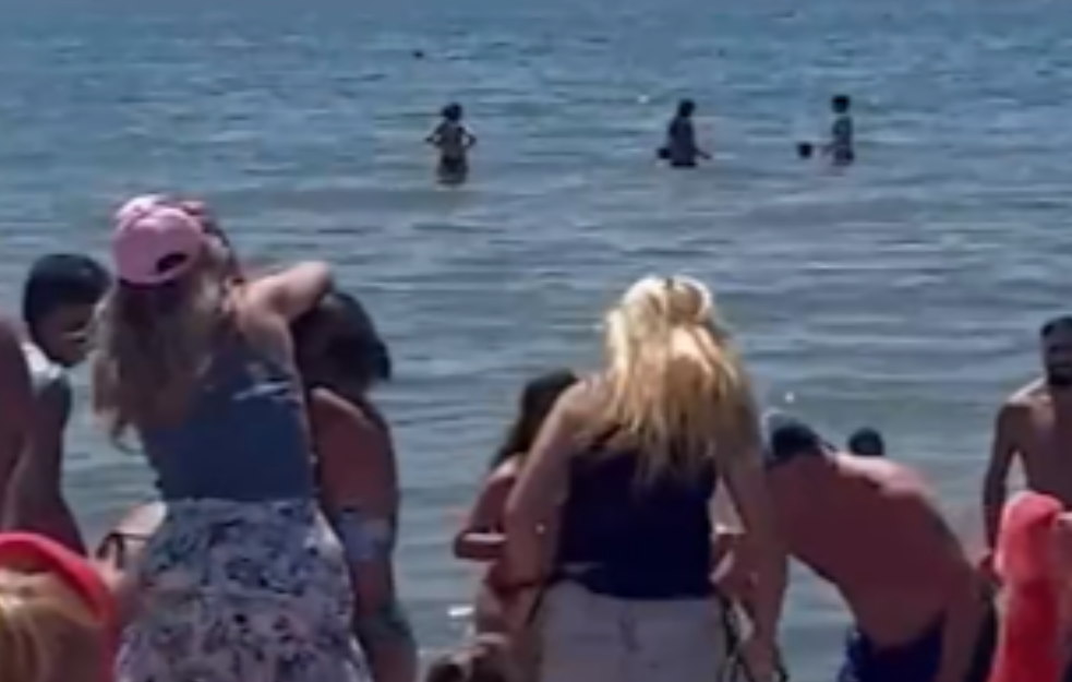 TUČA ŽENA OKO LEŽALJKI: Jedva su ih razdvojili (VIDEO)