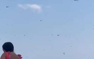 NAJEZDA BUBA NA PLAŽI: Ljudi u panici bežali (VIDEO)