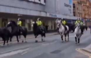 SUKOB U ENGLESKOJ: Policija izvela <span style='color:red;'><b>konji</b></span>cu (VIDEO)