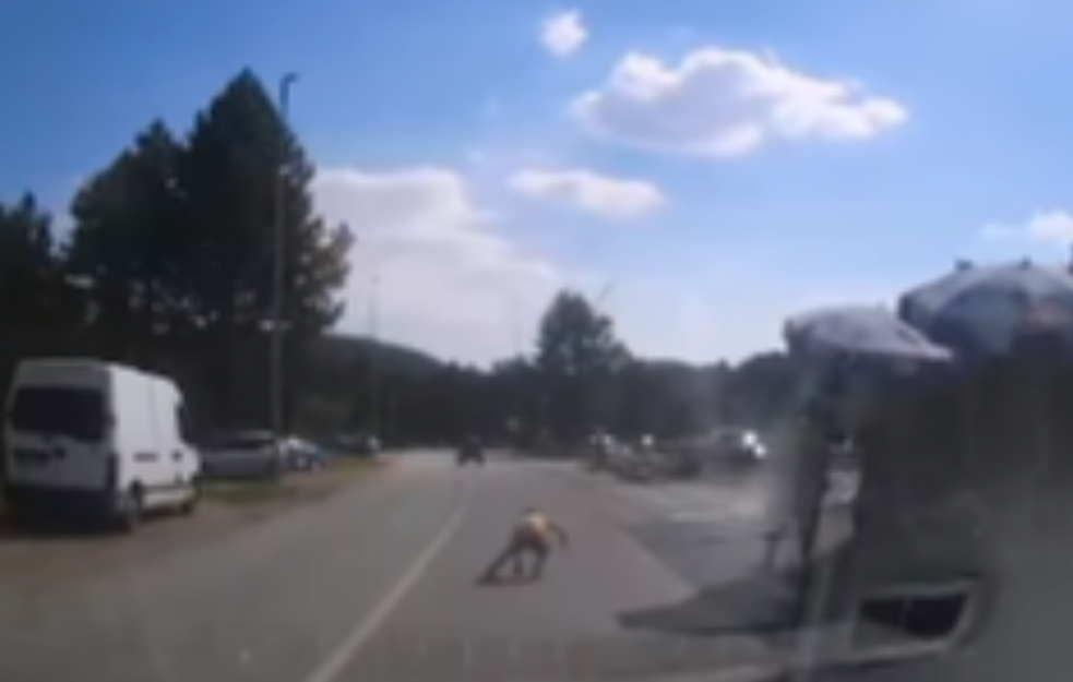 JEZIVA SCENA: Otac gleda dok mu sin trči po loptu ispred automobila (VIDEO)