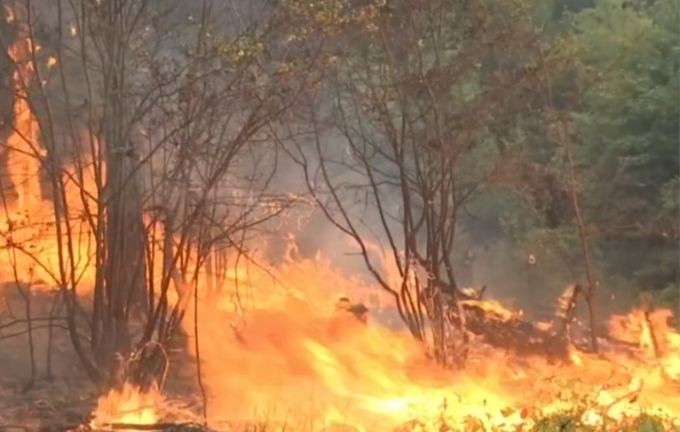 TRAGEDIJA! BRAČNI PAR IZGOREO U POŽARU KOD LJUBOVIJE: Pokušavali da ugase vatru, bežali u šumu!