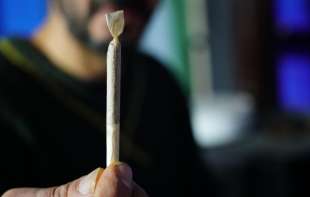 <span style='color:red;'><b>Legalizacija</b></span> marihuane nije oterala dilere sa ulica