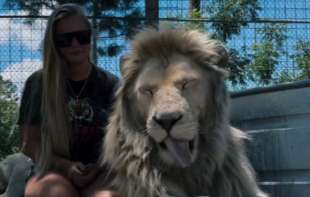 Zastrašujuće i predivno:  Žena mazi lava kao kućnog ljubimca, ljudi su zgranuti