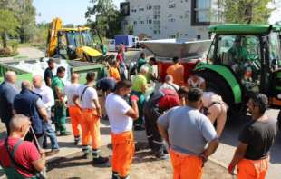ZLU NE TREBALO, TU SU DŽAKOVI SA PESKOM: Novi Sad se sprema za odbranu od poplava