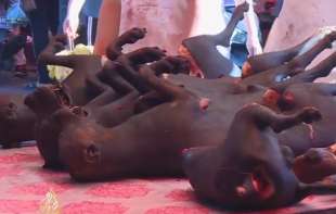 BBC: Nova studija nudi dokaze da je koronavirus zaista prenesen na ljude na pijaci u Vuhanu 