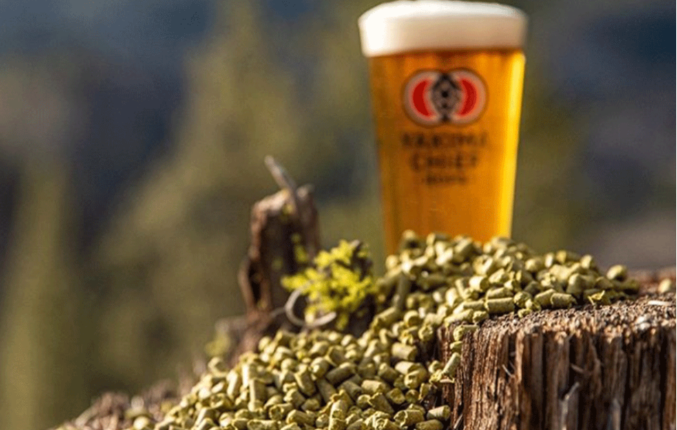 Od voćnog povrća napravili pivo – Dva su osvojila nagradu