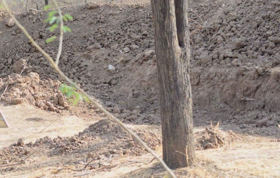 Fotografija koja je „zaludela“ internet: Pronađite leoparda za 15 sekundi! (FOTO)