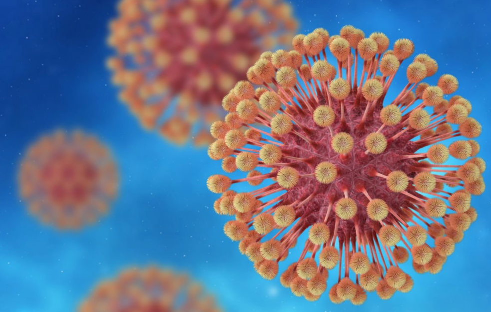SZO: 20 odsto ljudi od 15 do 49 godina u svetu ima genitalni herpes