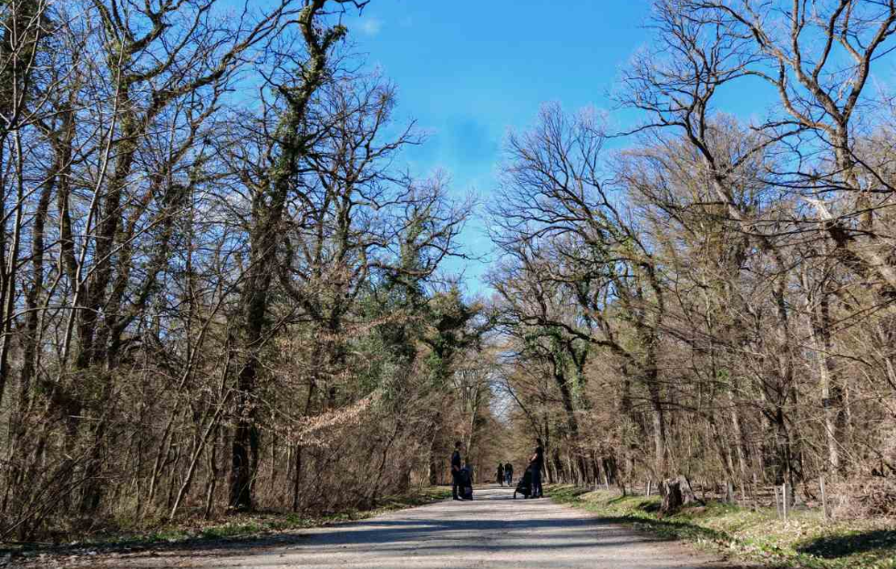 Proleće počinje uz hladno jutro, sunčan dan i stabilno vreme