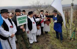 PORODICA MACUT DOMAĆINI PROSLAVE
