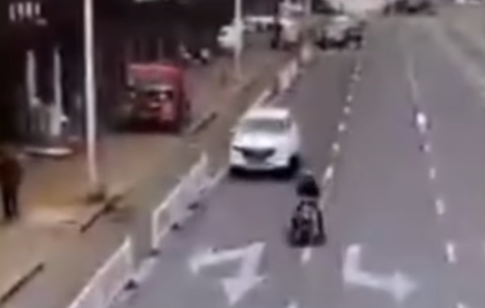 Pas upravljao vozilom, napravio haos na ulici (VIDEO)