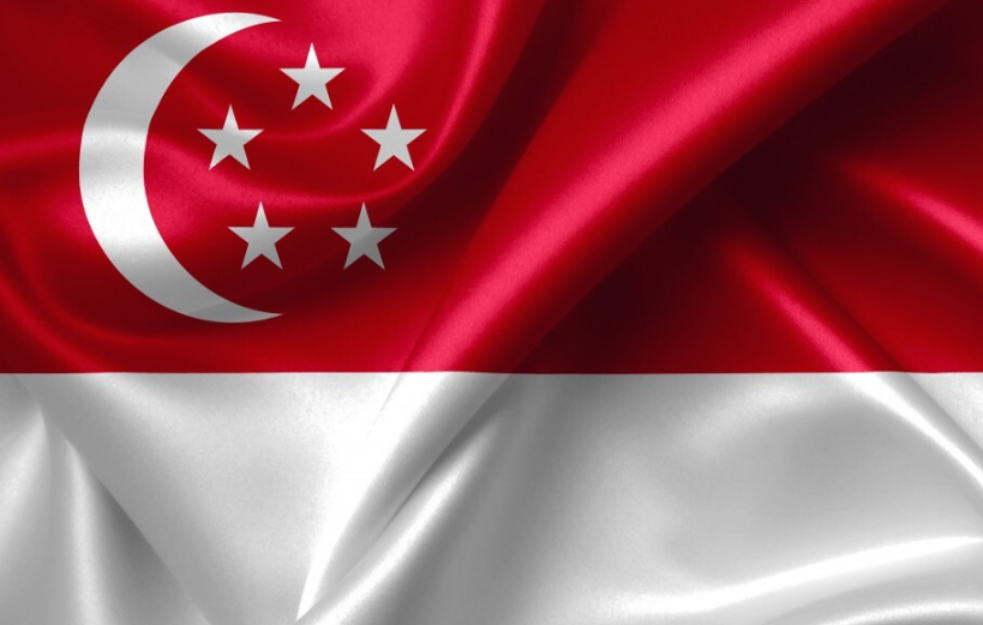 Singapur naložio Meti blokiranje stranih objava pred izbore