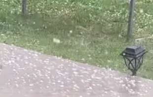 Nevreme pogodilo Aranđelovac i okolinu: Pljuštalo kao iz kabla, zabelelo se od grada (VIDEO)